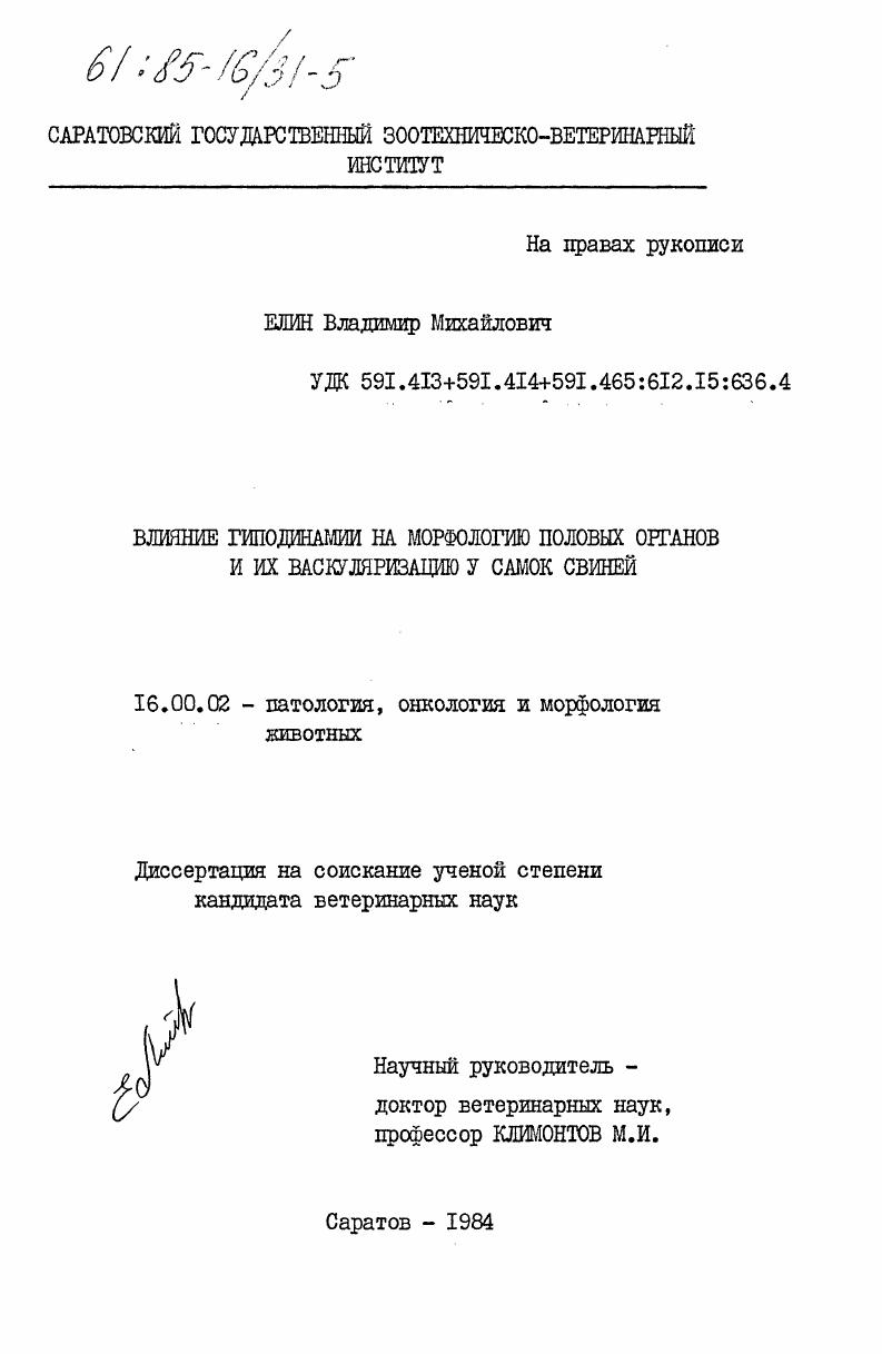 Влияние гиподинамии на морфологию половых органов и их васкуляризацию у самок свиней