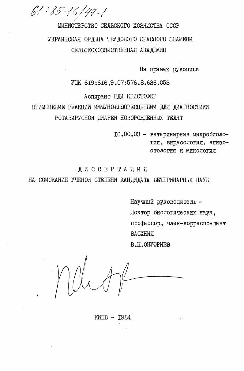 Применение реакции иммунофлюоресценции для диагностики ротавирусной диареи новорожденных телят