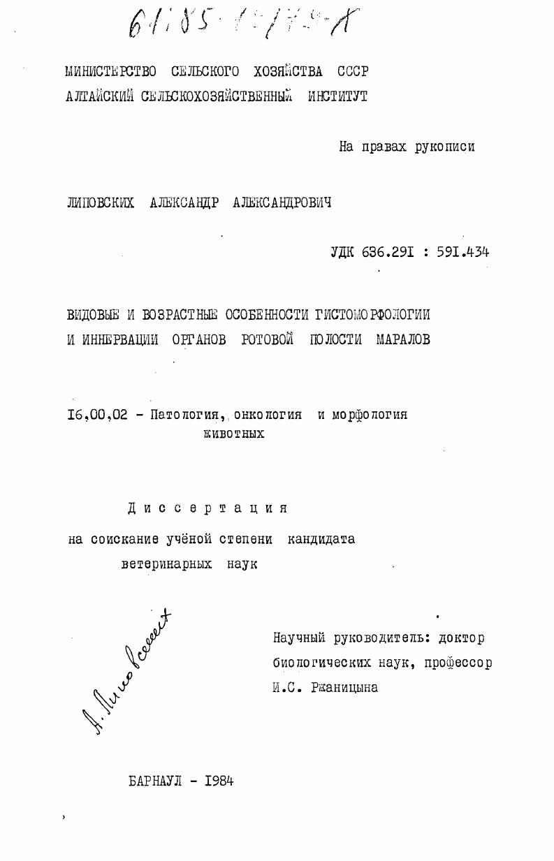 Видовые и возрастные особенности гистоморфологии и иннервации органов ротовой полости маралов