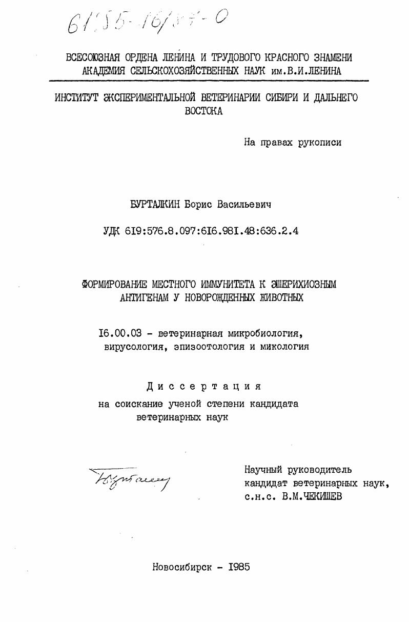 Формирование местного иммунитета к эшерихиозным антигенам у новорожденных животных