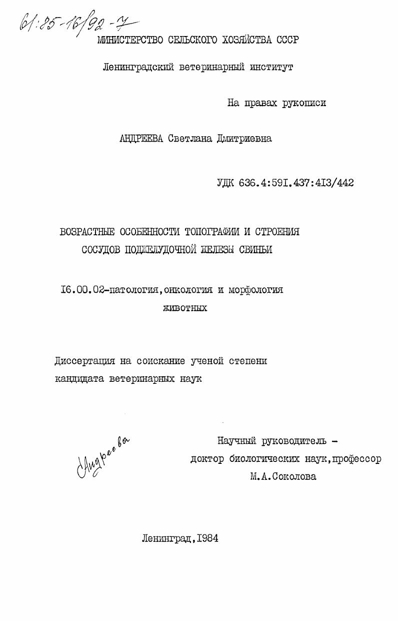 Возрастные особенности топографии и строения сосудов поджелудочной железы свиньи