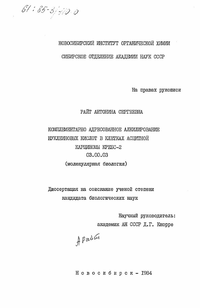 скачать диссертацию Комплементарно адресованное алкилирование нуклеиновых кислот в клетках асцитной карциномы КРЕБС-2 Комплементарно адресованное алкилирование нуклеиновых кислот в клетках асцитной карциномы КРЕБС-2