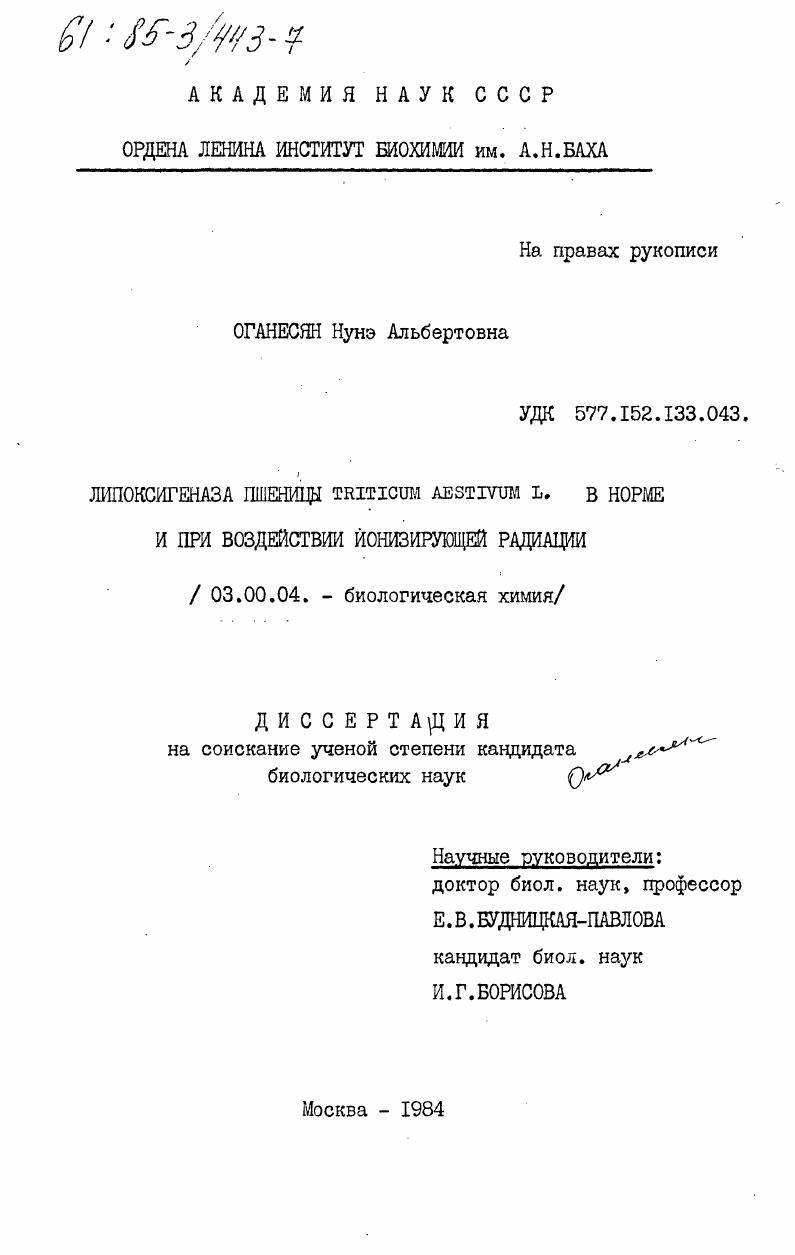 скачать диссертацию Липоксигеназа пшеницы Triticum Aestivum L. в норме и при воздействии ионизирующей радиации Липоксигеназа пшеницы Triticum Aestivum L. в норме и при воздействии ионизирующей радиации
