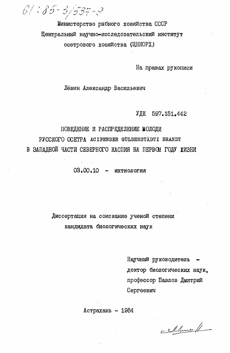 скачать диссертацию Поведение и распределение молоди русского осетра Acipenser guldenstadti Brandt в западной части Северного Каспия на первом году жизни Поведение и распределение молоди русского осетра Acipenser guldenstadti Brandt в западной части Северного Каспия на первом году жизни