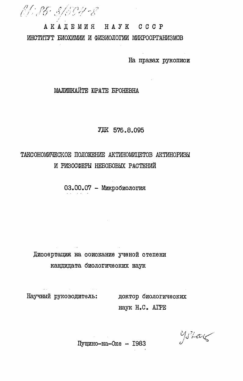 скачать диссертацию Таксономическое положение актиномицетов актиноризы и ризосферы небобовых растений Таксономическое положение актиномицетов актиноризы и ризосферы небобовых растений