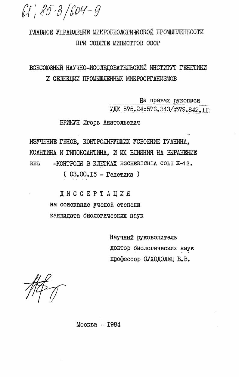 Изучение генов, контролирующих усвоение гуанина, ксантина и гипоксантина, и их влияние на выражение Rel-контроля в клетках Escherichia coli K-12
