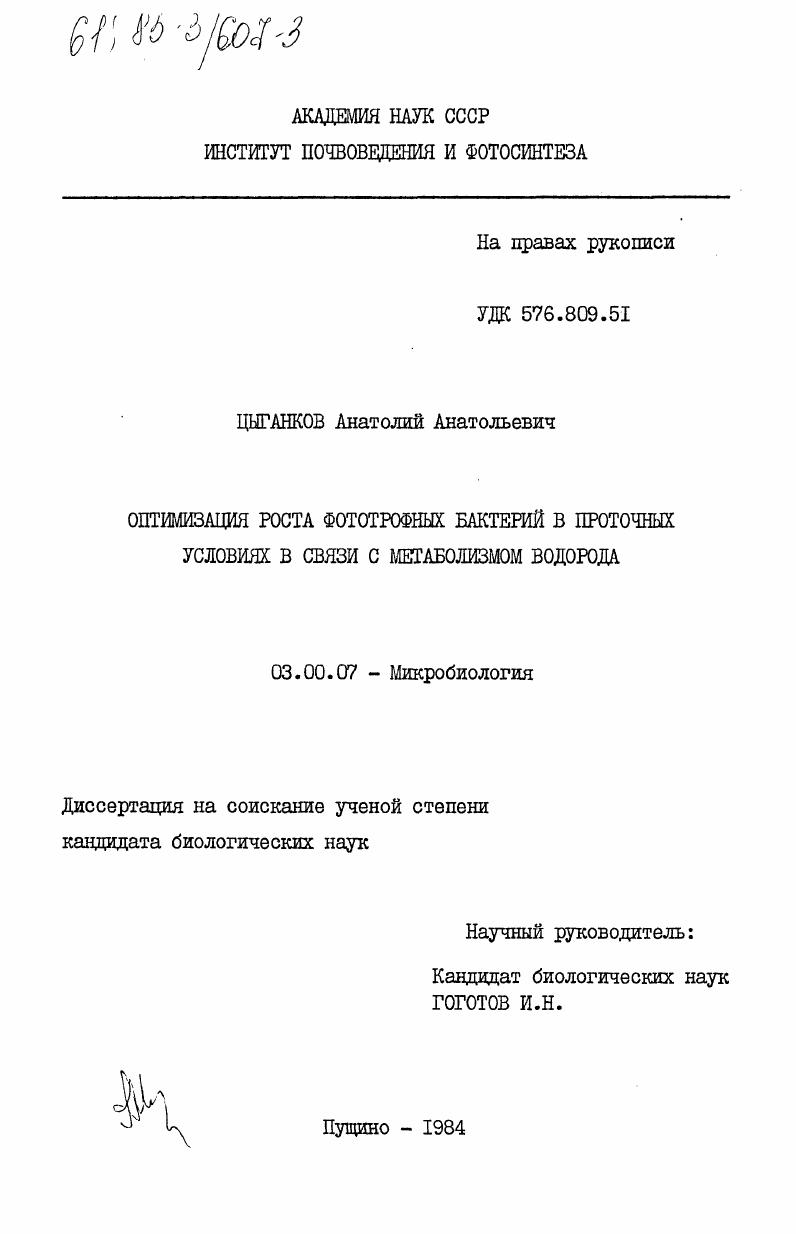 Оптимизация роста фототрофных бактерий в проточных условиях в связи с метаболизмом водорода