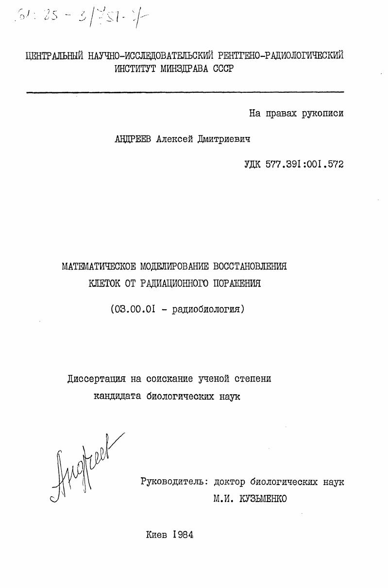Математическое моделирование восстановления клеток от радиационного поражения