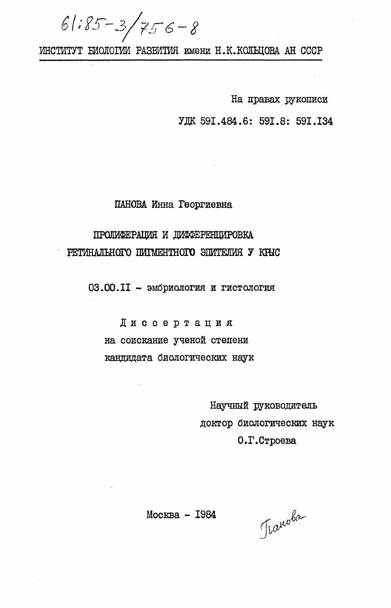 Пролиферация и дифференцировка ретинального пигментного эпителия у крыс