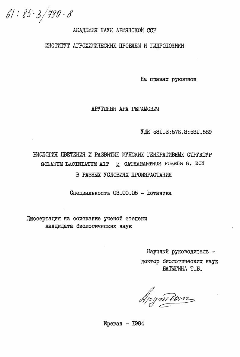 Биология цветения и развитие мужских генеративных структур Solanum Laciniatum Ait и Catharanthus Roseus G. Don в разных условиях произрастания