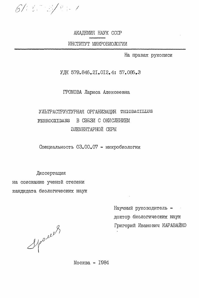 Ультраструктурная организация Thiobacillus ferroxidans в связи с окислением элементарной серы