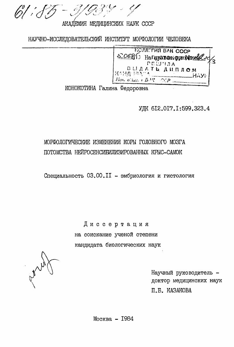 Морфологические изменения коры головного мозга потомства нейросенсибилизированных крыс-самок