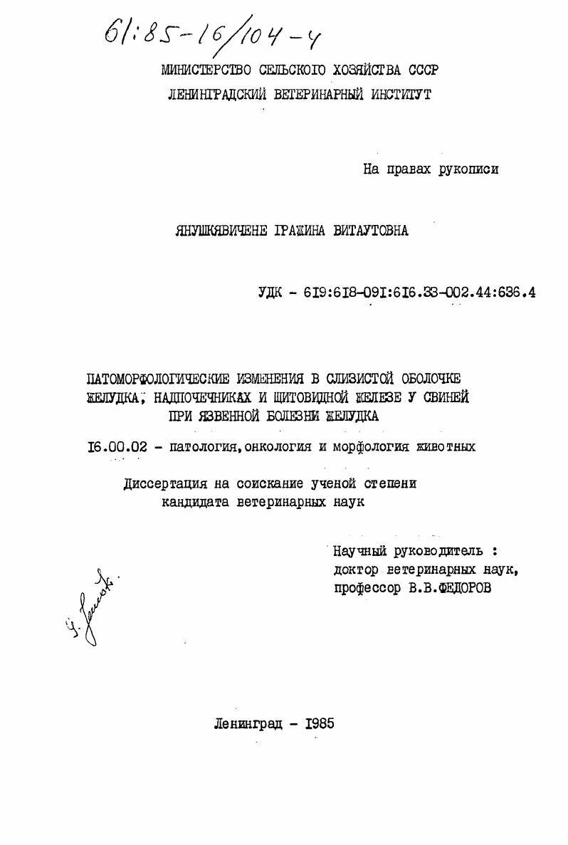 Патоморфологические изменения в слизистой оболочке желудка, надпочечниках и щитовидной железе у свиней при язвенной болезни желудка