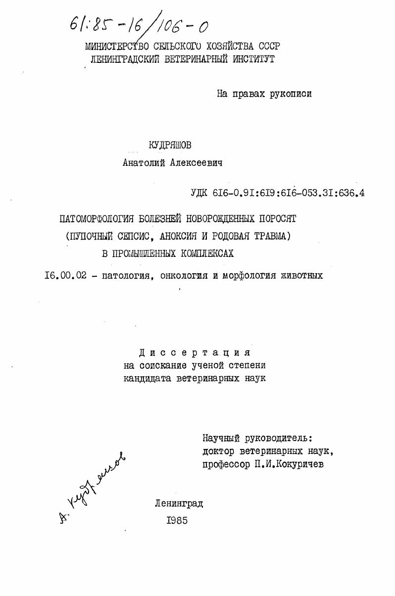 Патоморфология болезней новорожденных поросят (пупочный сепсис, аноксия и родовая травма) в промышленных комплексах