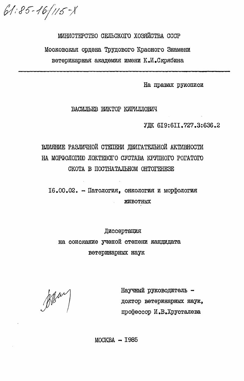 Влияние различной степени двигательной активности на морфологию локтевого сустава крупного рогатого скота в постнатальном онтогенезе