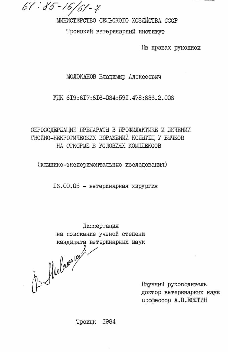 Серосодержащие препараты в профилактике и лечении гнойно-некротических поражений копытец у бычков на откорме в условиях комплексов (клинико-экспериментальные исследования)