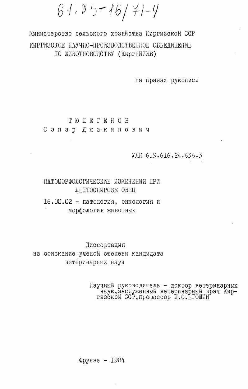 скачать диссертацию Патоморфологические изменения при лептоспирозе овец Патоморфологические изменения при лептоспирозе овец