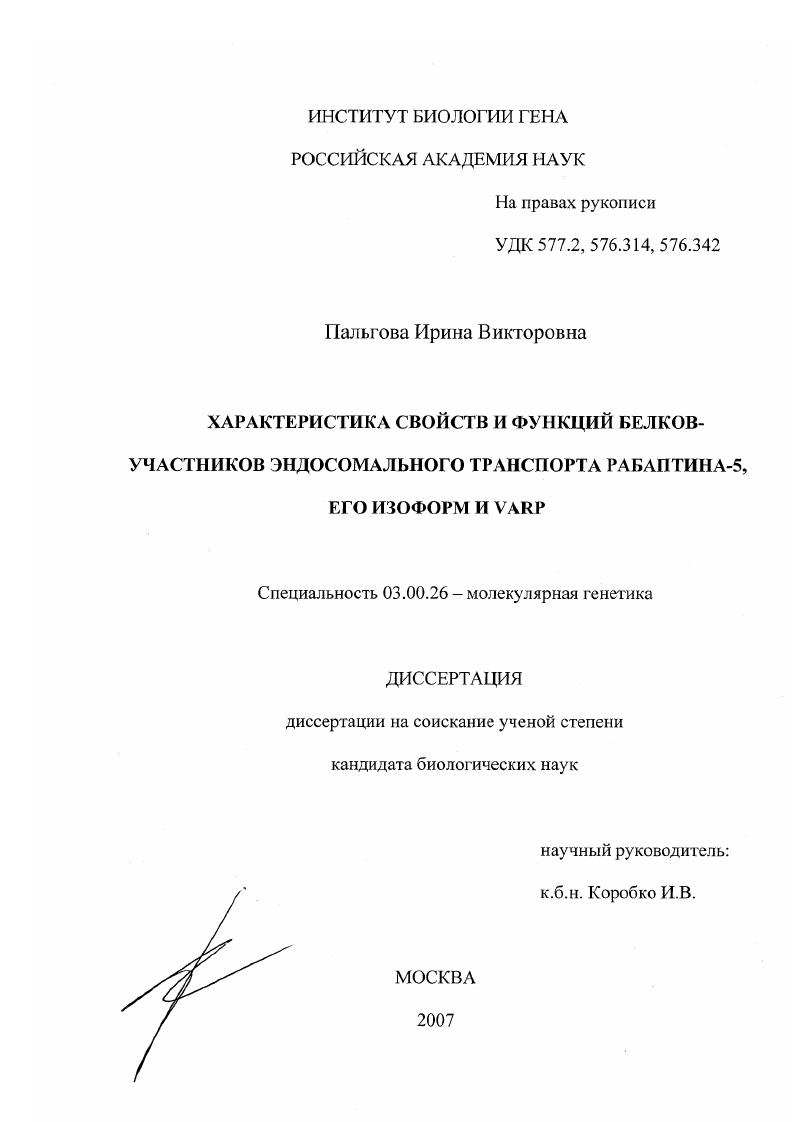 Характеристика свойств и функций белков-участников эндосомального транспорта рабаптина-5, его изоформ и VARP