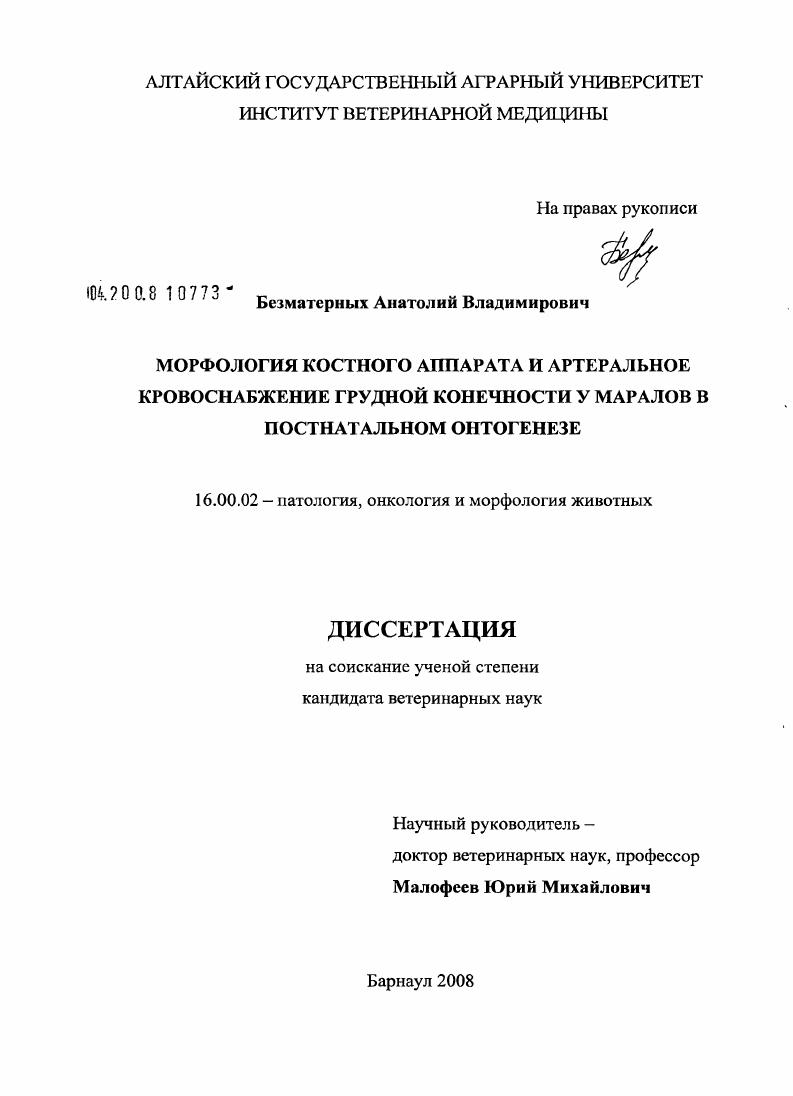 Морфология костного аппарата и артериальное кровоснабжение грудной конечности у маралов в постнатальном онтогенезе