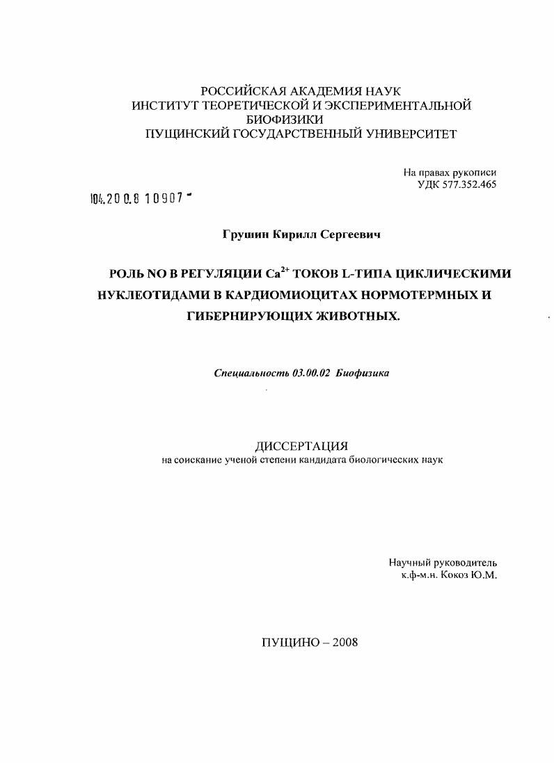 Роль NO в регуляции Ca2+ токов L-типа циклическими нуклеотидами в кардиомиоцитах нормотермных и гибернирующих животных