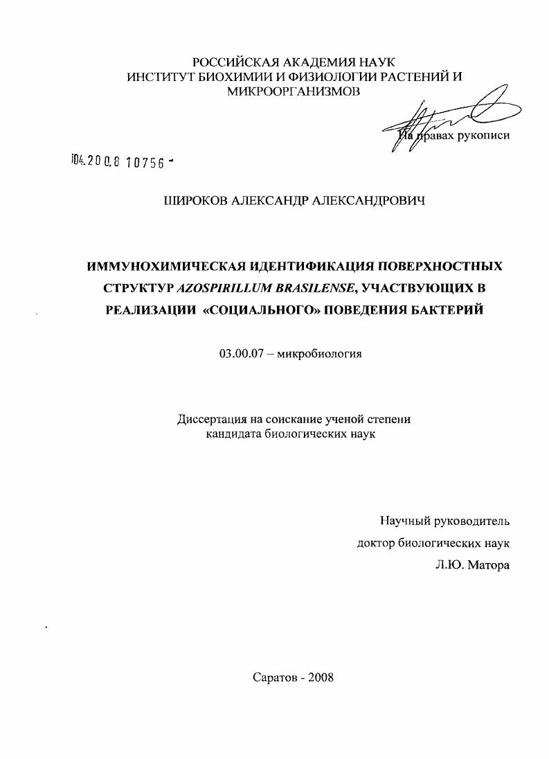 Иммунохимическая идентификация поверхностных структур Azospirillum brasilense, участвующих в реализации "социального" поведения бактерий