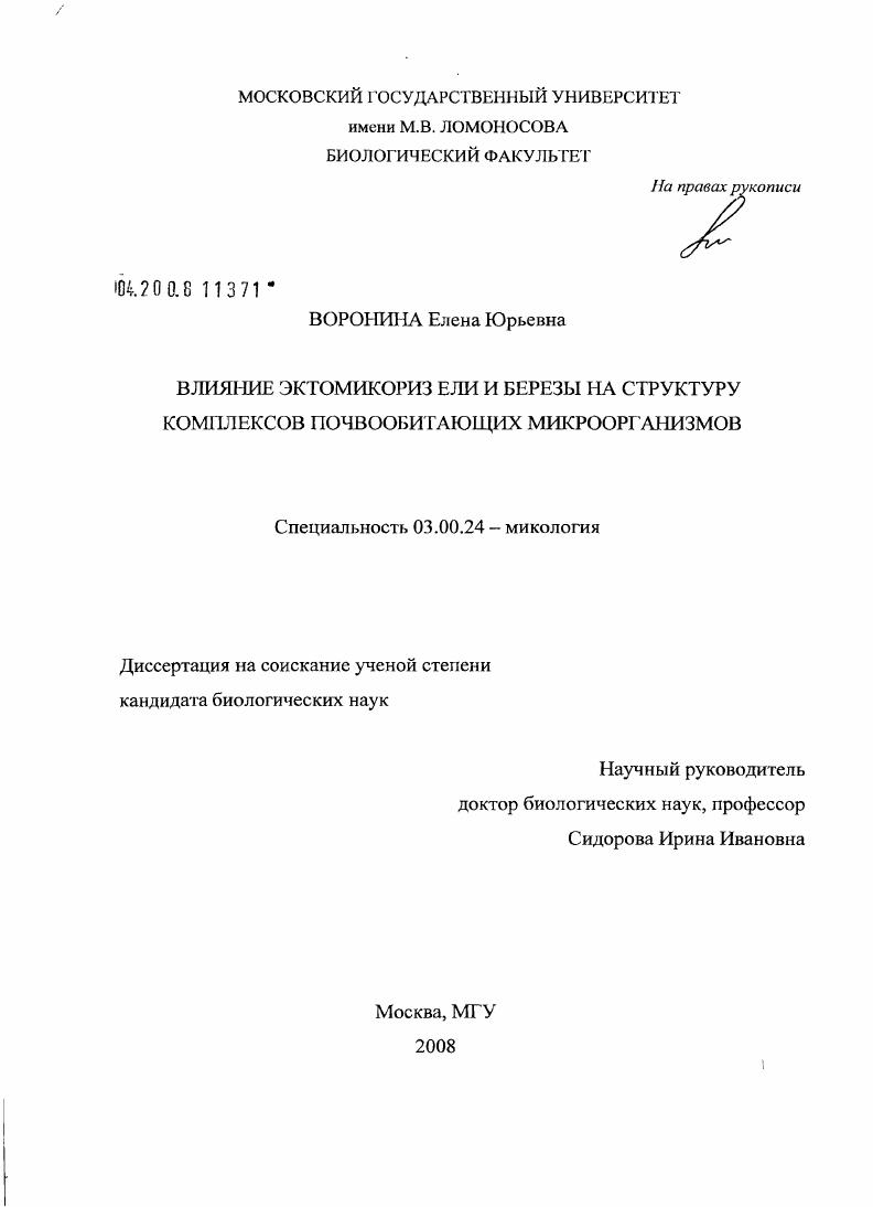 Влияние эктомикориз ели и березы на структуру комплексов почвообитающих микроорганизмов