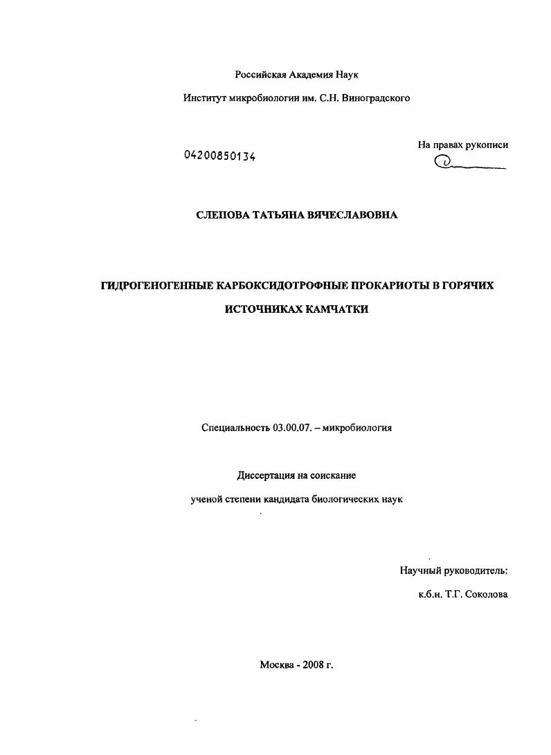 скачать диссертацию Гидрогеногенные карбоксидотрофные прокариоты в горячих источниках Камчатки Гидрогеногенные карбоксидотрофные прокариоты в горячих источниках Камчатки