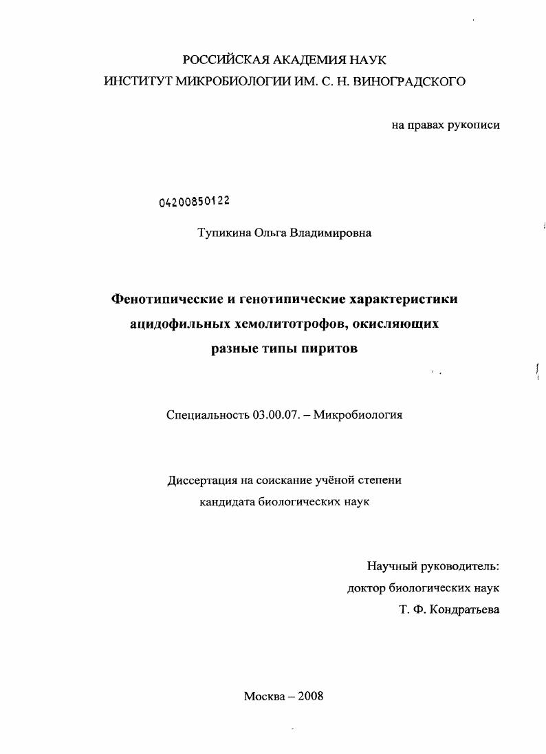 Фенотипические и генотипические характеристики ацидофильных хемолитотрофов, окисляющих разные типы пиритов
