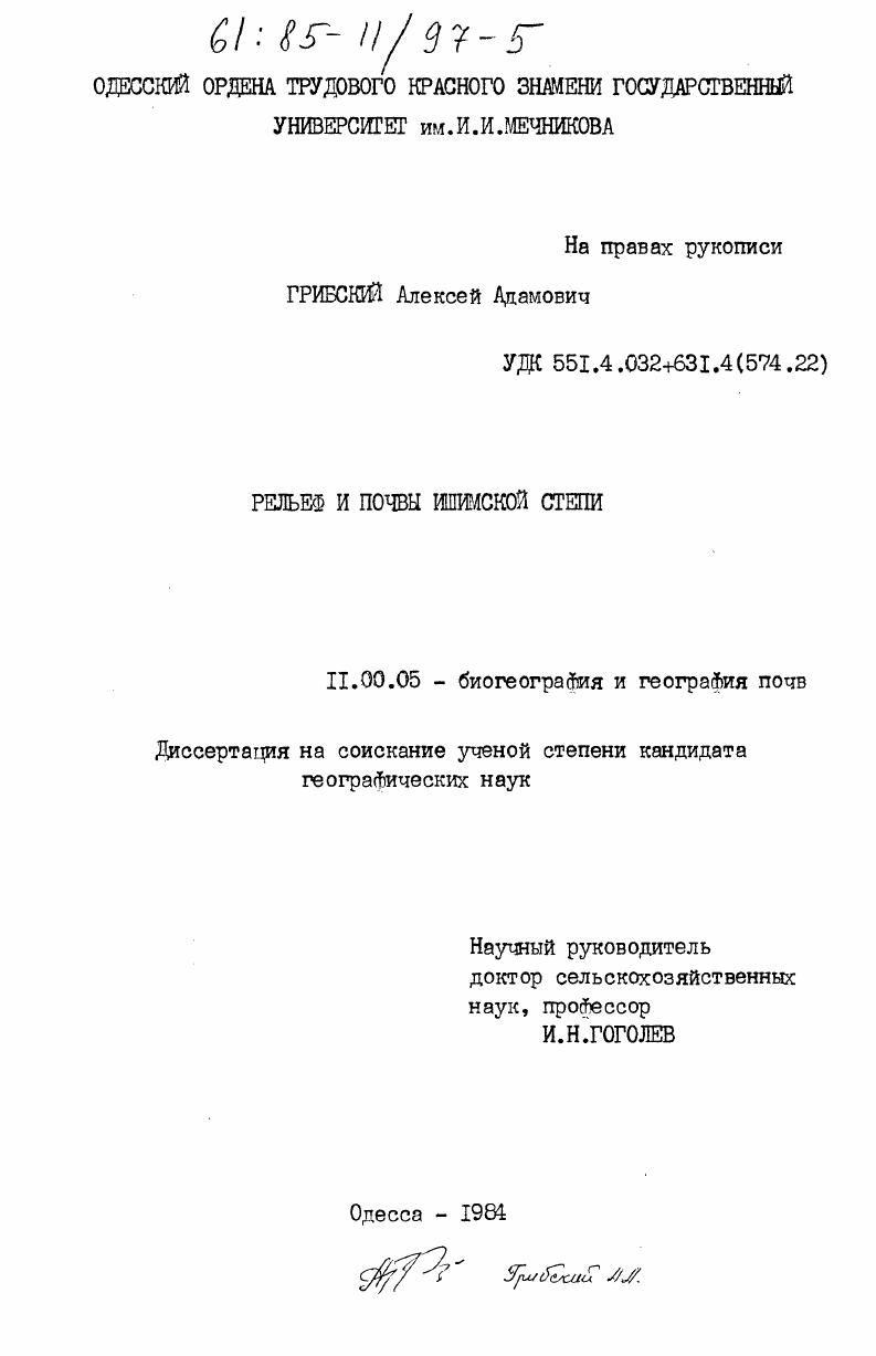 Рельеф и почвы Ишимской степи