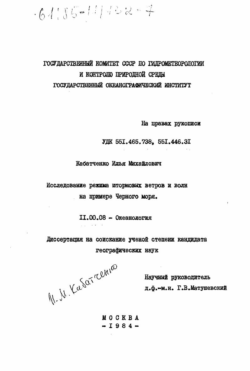 Исследование режима штормовых ветров и волн на примере Черного моря