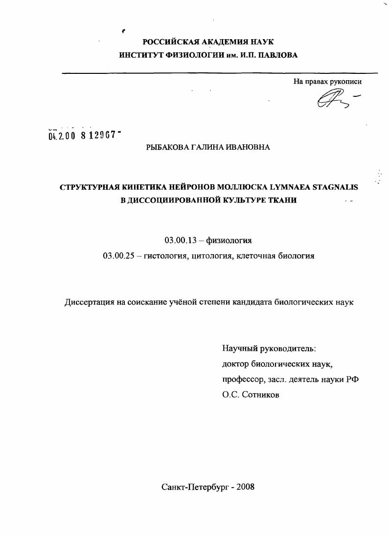 Структурная кинетика нейронов моллюска Lymnaea stagnalis в диссоциированной культуре ткани