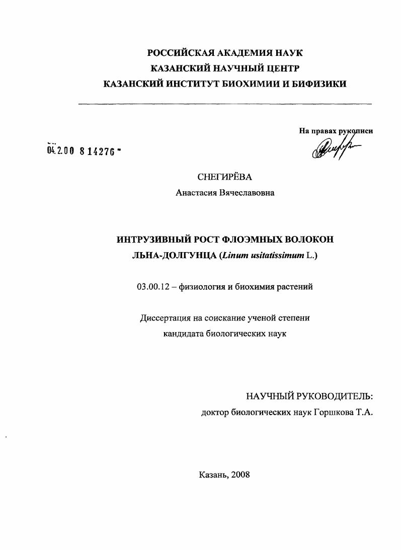 Интрузивный рост флоэмных волокон льна-долгунца (Linum usitatissimum L.)