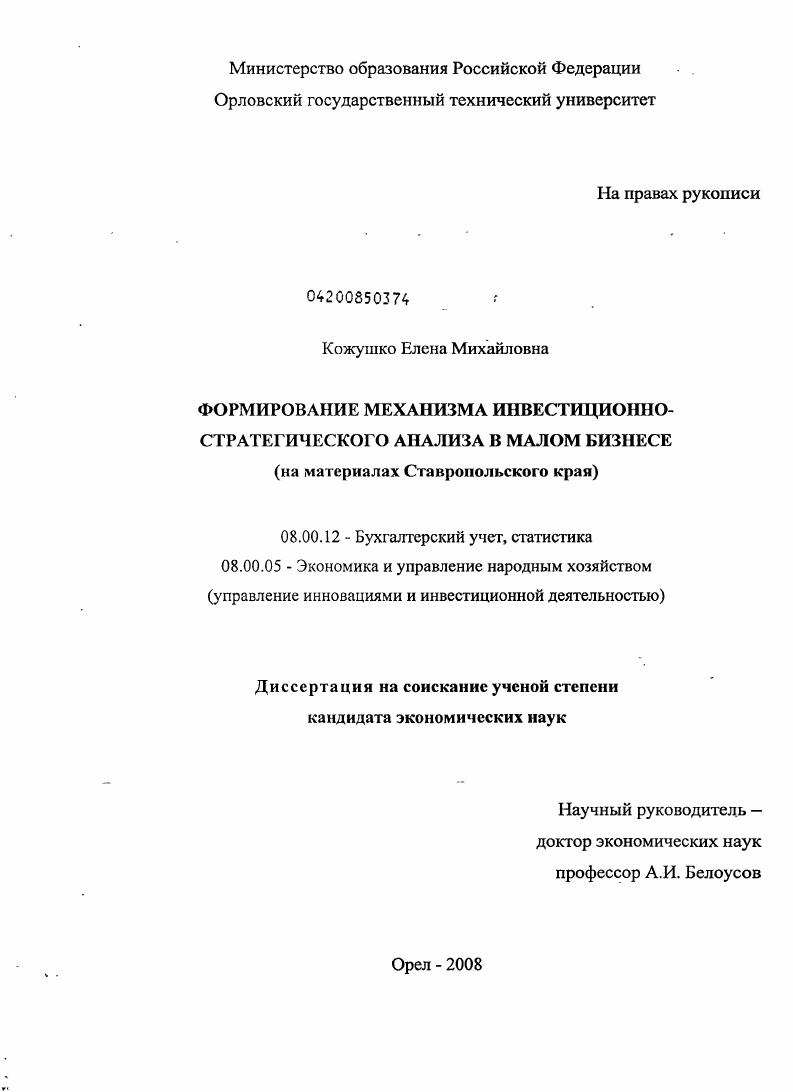Формирование механизма инвестиционно-стратегического анализа в малом бизнесе : на материалах Ставропольского края