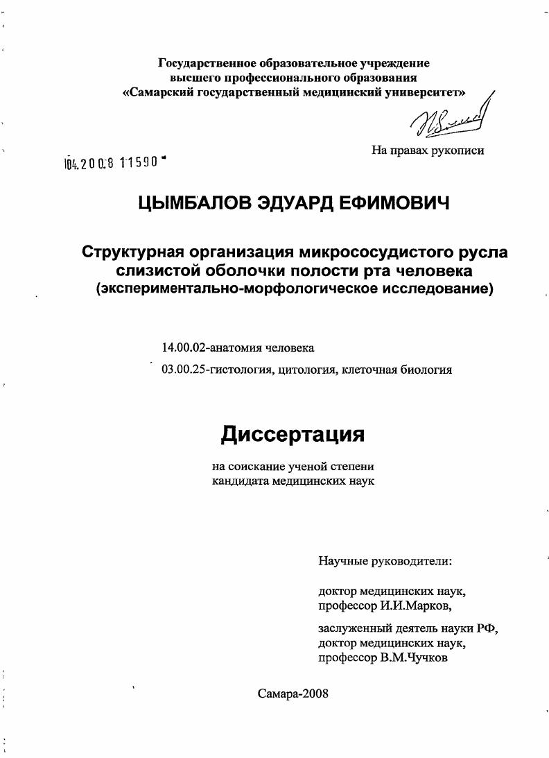 Структурная организация микрососудистого русла слизистой оболочки полости рта человека (экспериментально-морфологическое исследование)