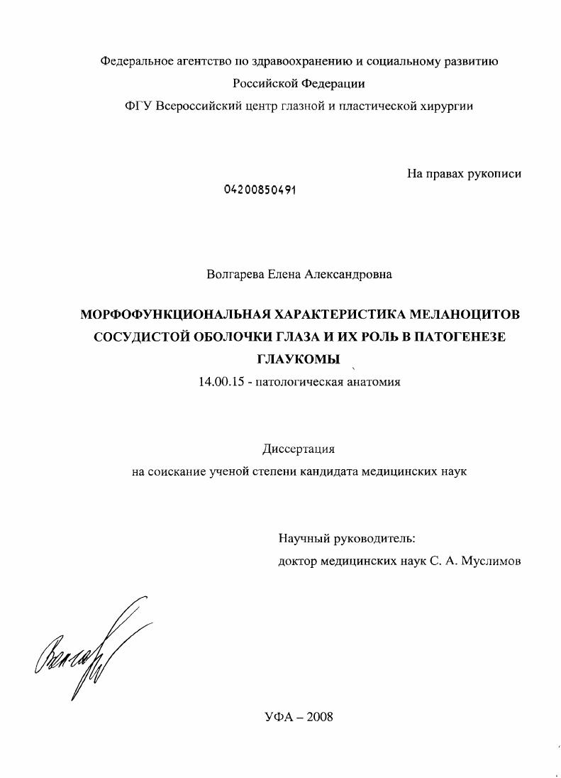 скачать диссертацию Морфофункциональная характеристика меланоцитов сосудистой оболочки глаза и их роль в патогенезе глаукомы. Морфофункциональная характеристика меланоцитов сосудистой оболочки глаза и их роль в патогенезе глаукомы.