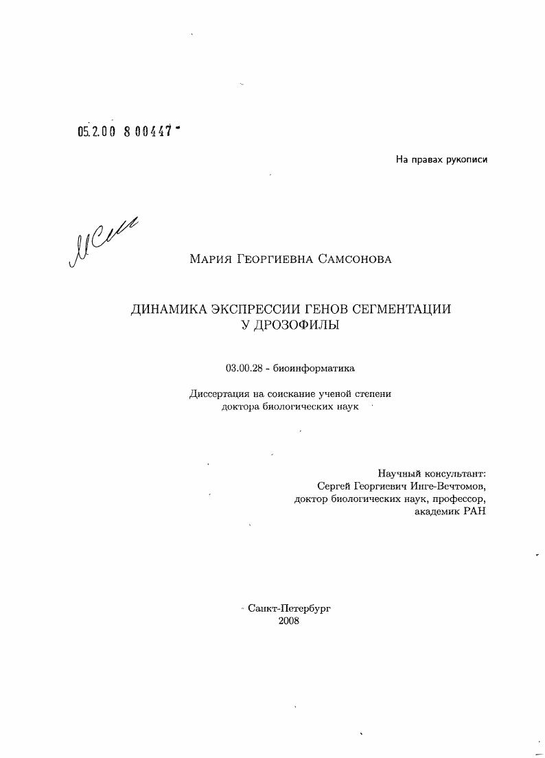 Динамика экспрессии генов сегментации у дрозофилы