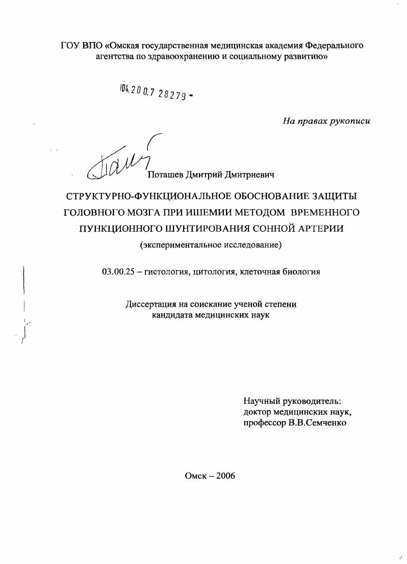 Структурно-функциональное обоснование защиты головного мозга при ишемии методом временного пункционного шунтирования сонной артерии (экспериментальное исследование)
