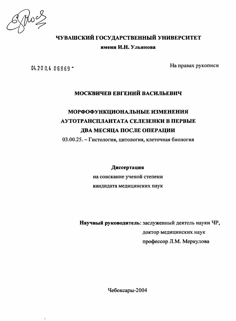 Морфофункциональные изменения аутотрансплантата селезенки в первые два месяца после операции