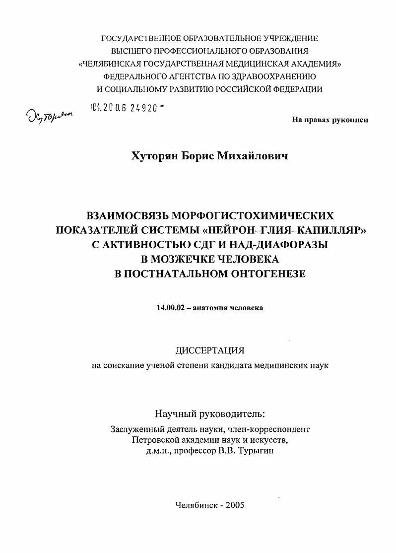 Взаимосвязь морфогистохимических показателей системы нейрон - глия - капилляр с активностью СДГ и НАД-диафоразы в мозжечке человека в постнатальном онтогенезе