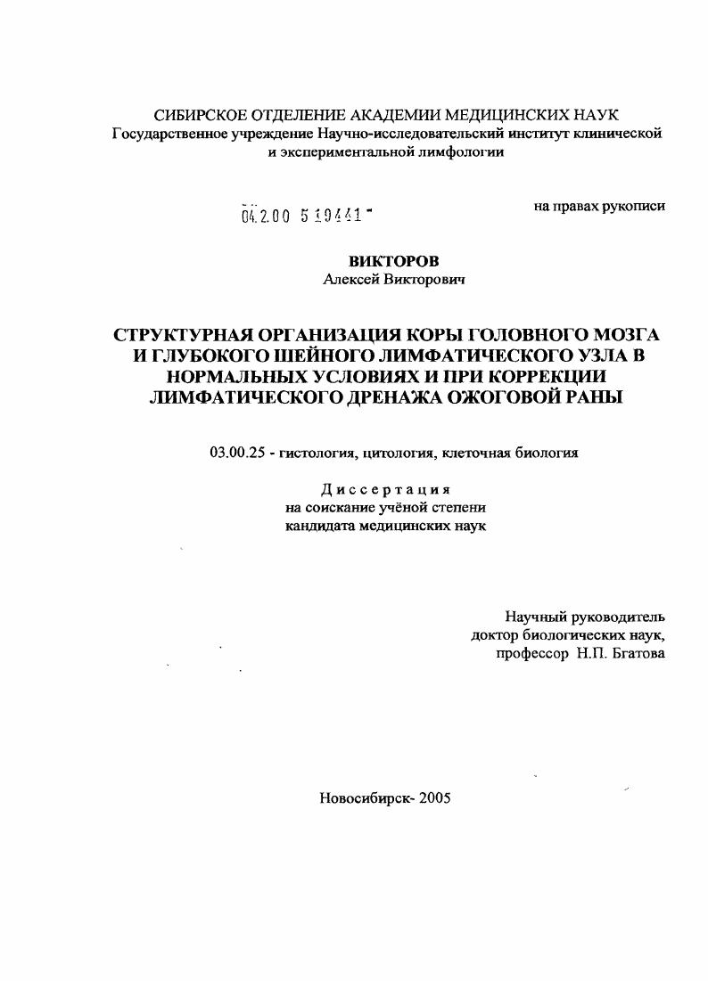 Структурная организация коры головного мозга и глубокого шейного лимфатического узла в нормальных условиях и при коррекции лимфатического дренажа ожоговой раны