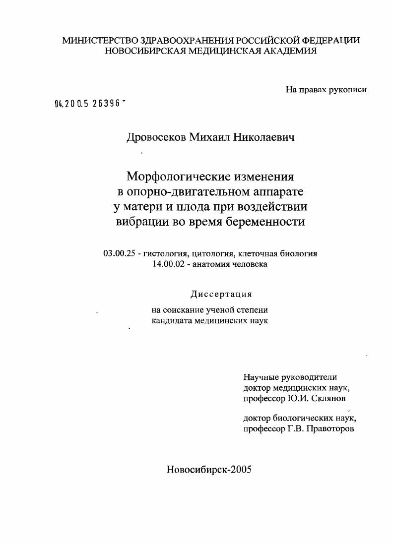 Морфологические изменения в опорно-двигательном аппарате у матери и плода при воздействии вибрации во время беременности