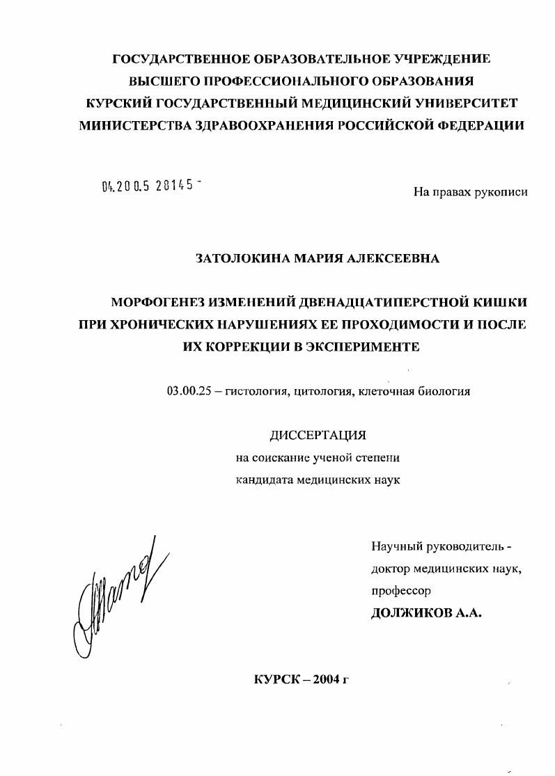 Морфогенез изменений двенадцатиперстной кишки при хронических нарушениях ее проходимости и после их коррекции в эксперименте