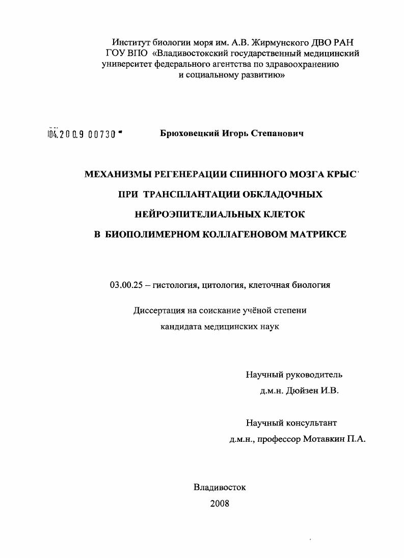 Механизмы регенерации спинного мозга крыс при трансплантации обкладочных нейроэпителиальных клеток в биополимерном коллагеновом матриксе