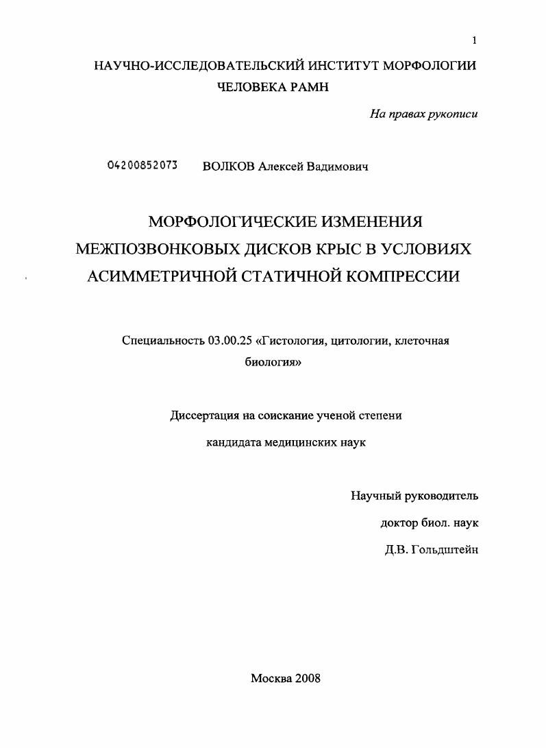 Морфологические изменения межпозвонковых дисков крыс в условиях асимметричной статичной компрессии
