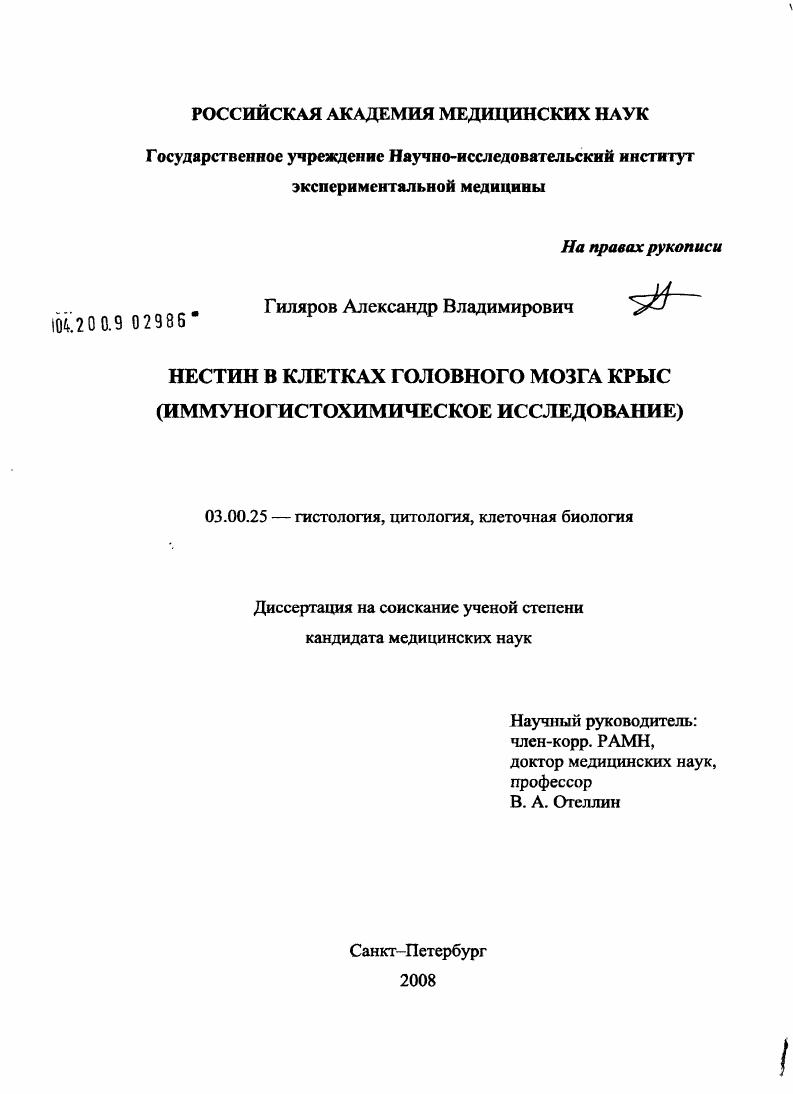 Нестин в клетках головного мозга крыс (иммуногистохимическое исследование)