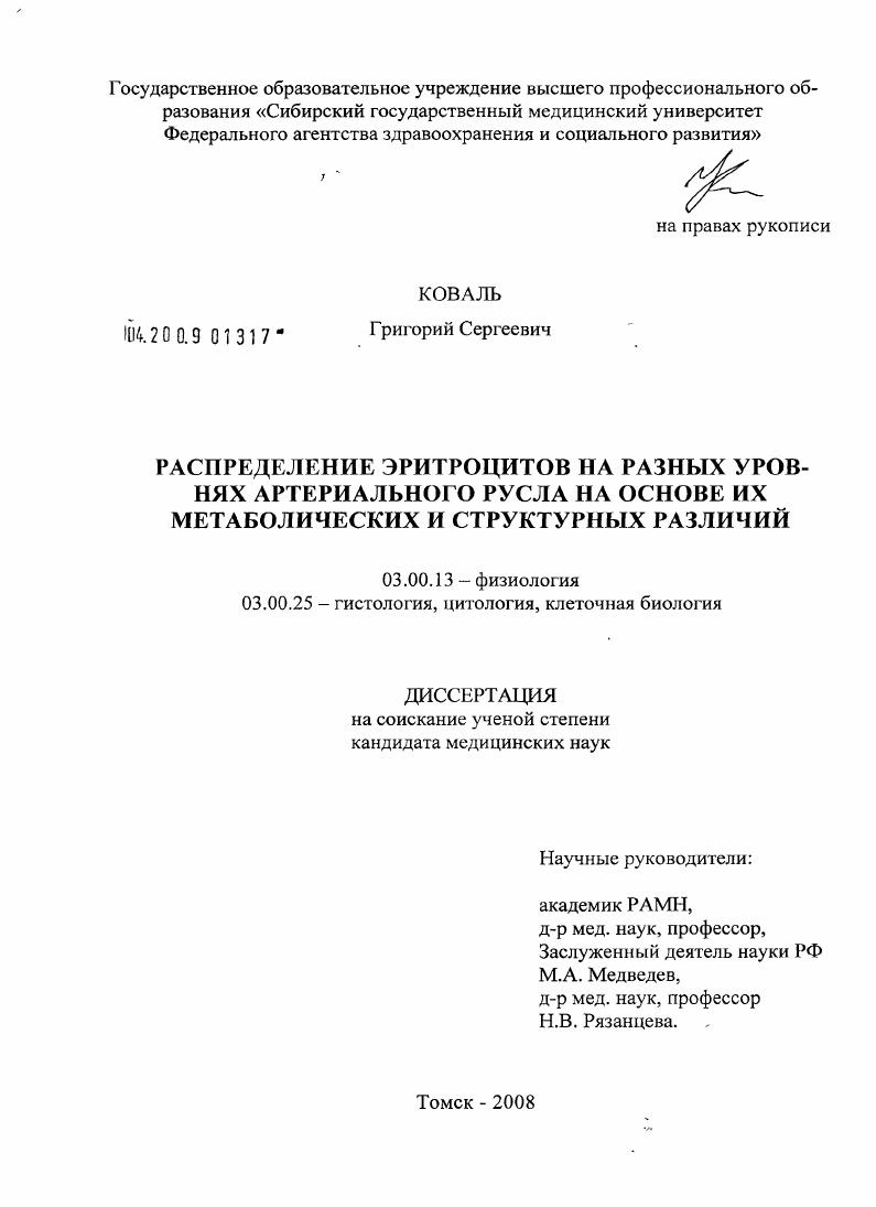 Распределение эритроцитов на разных уровнях артериального русла на основе их метаболических и структурных различий
