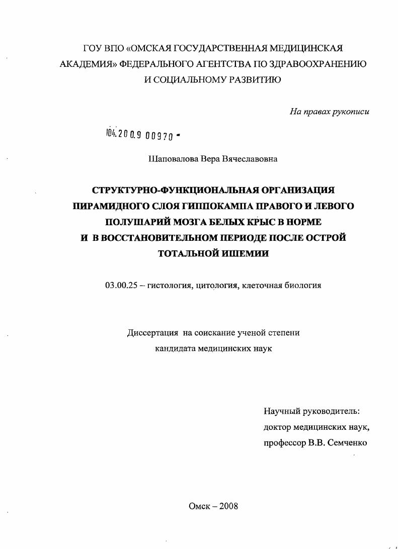 Структурно-функциональная организация пирамидного слоя гиппокампа правого и левого полушарий мозга белых крыс в норме и в восстановительном периоде после острой тотальной ишемии