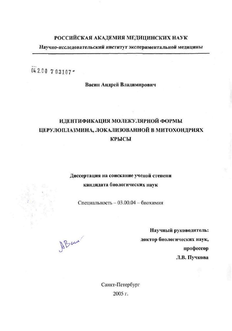 Идентификация молекулярной формы церулоплазмина, локализованной в митохондриях крысы