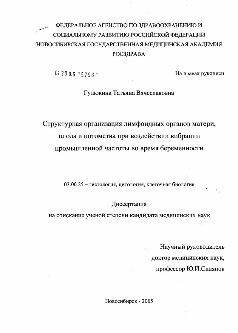 Структурная организация лимфоидных органов матери, плода и потомства при воздействии вибрации промышленной частоты во время беременности