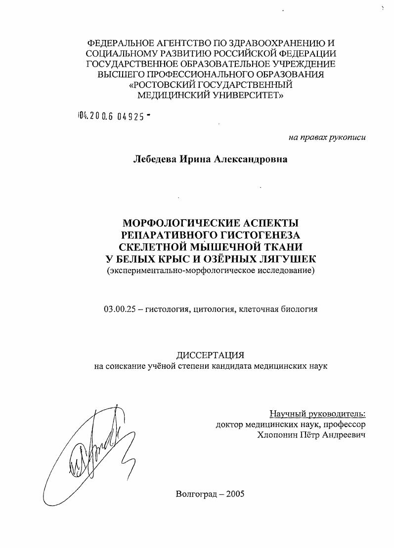 Морфологические аспекты репаративного гистогенеза скелетной мышечной ткани у белых крыс и озерных лягушек